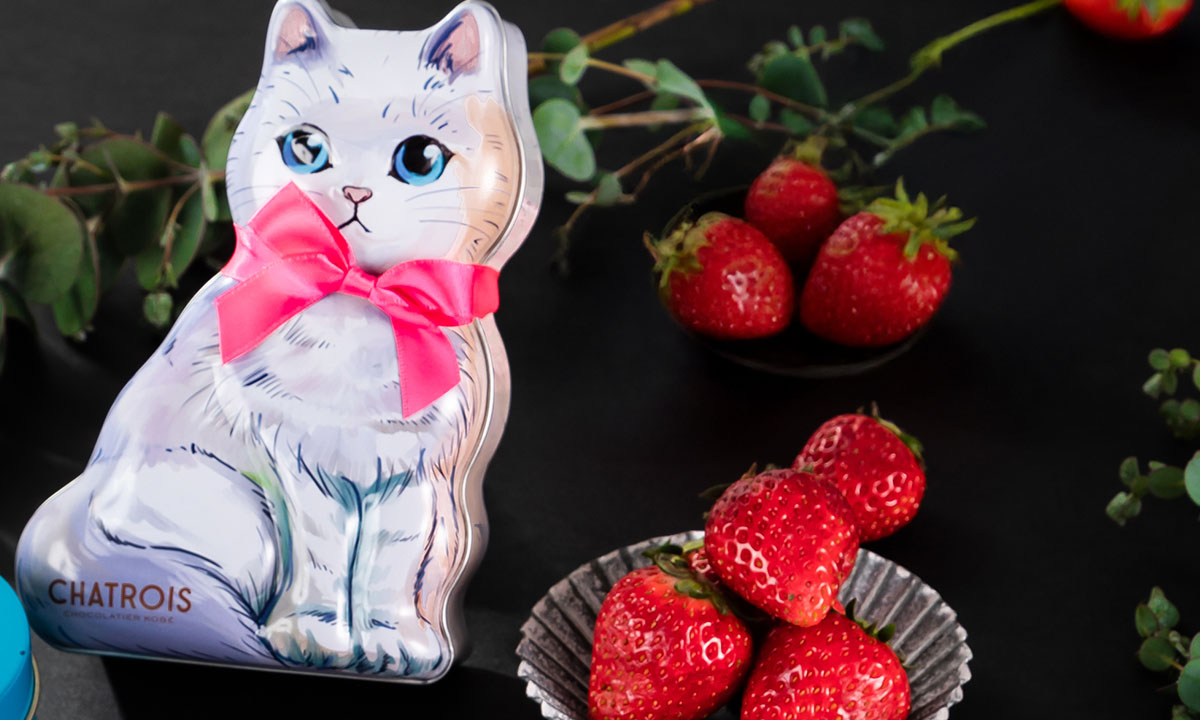 猫といちごスイーツ