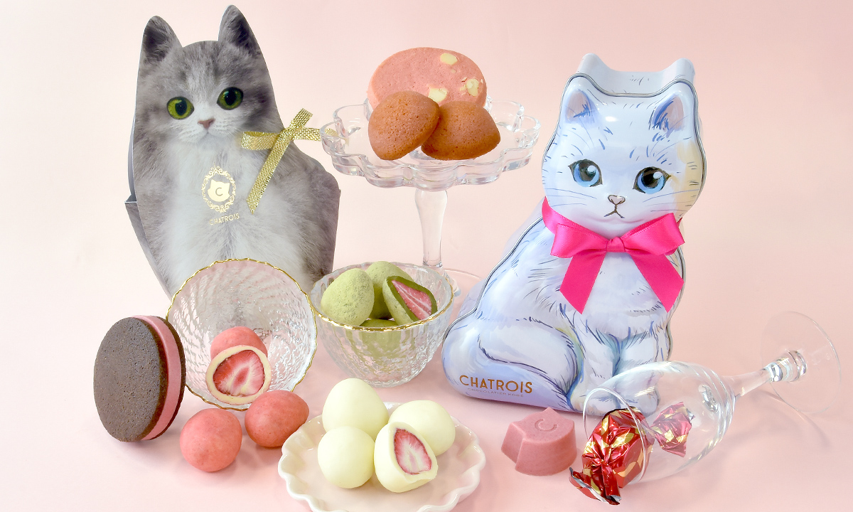 かわいい猫がよりかわいくなる苺のお菓子