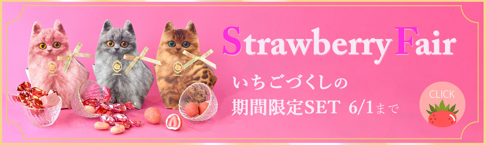 限定キトン
