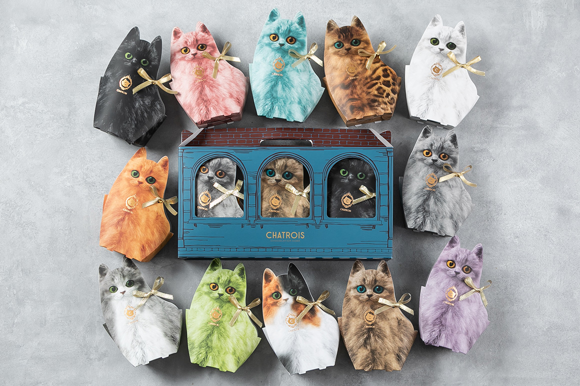 子猫のパッケージ