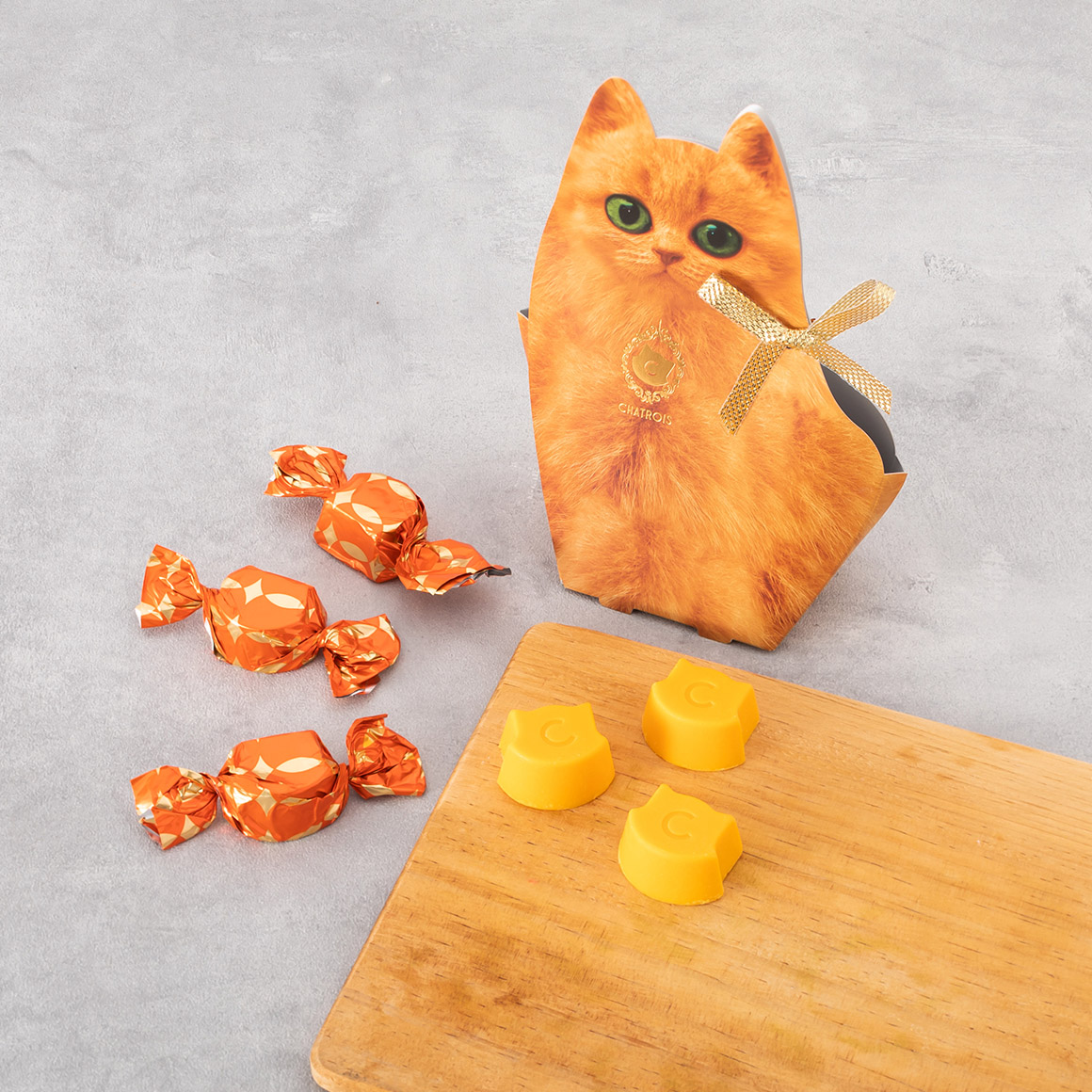 キトンキャラットショコラオレンジ