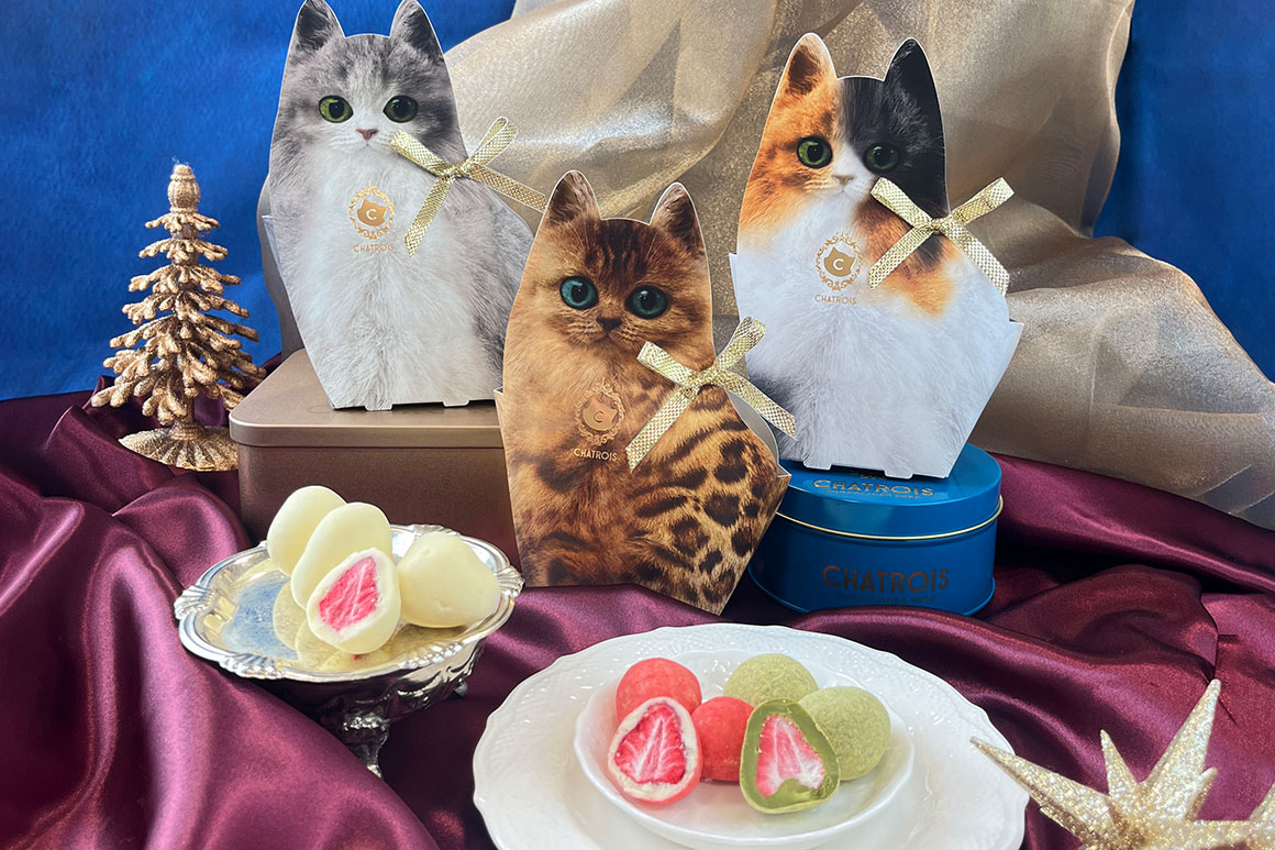 クリスマスキトン画像