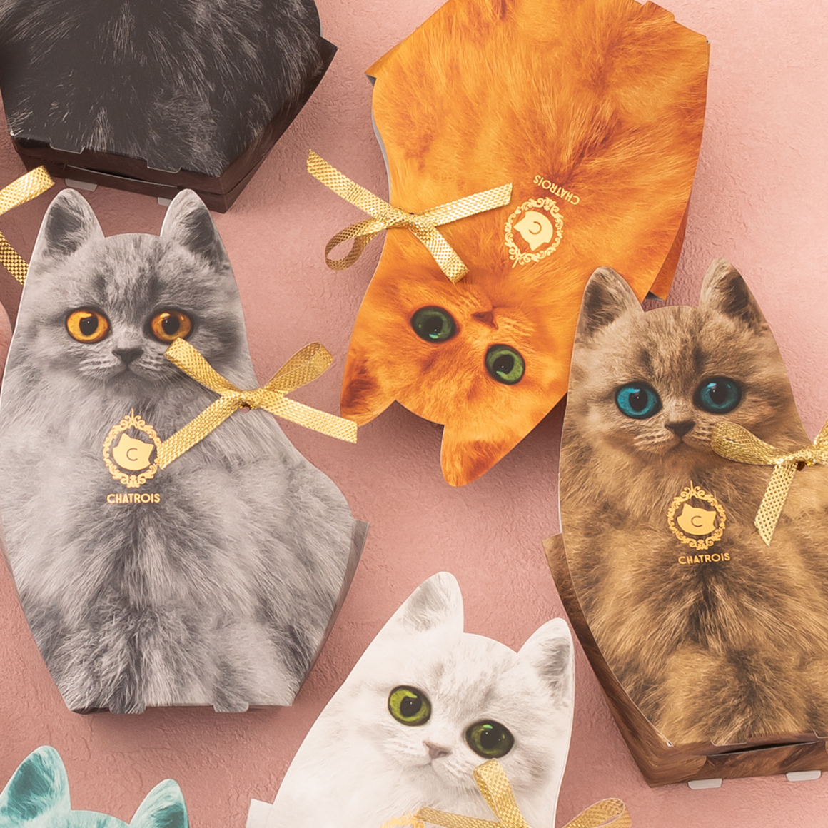 猫のパッケージのお菓子