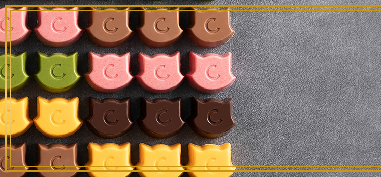 チョコレートの写真