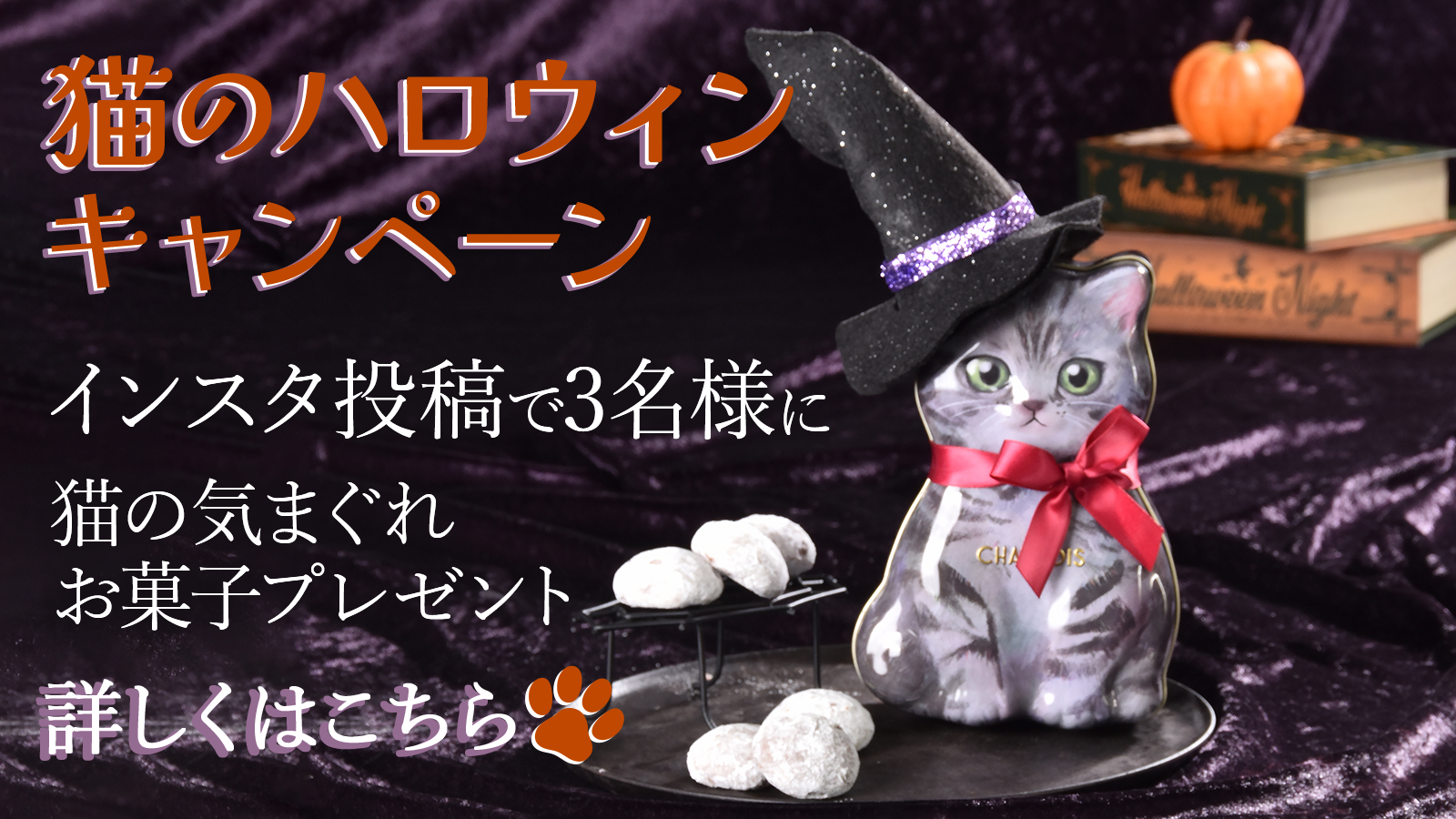 猫のハロウィンキャンペーン