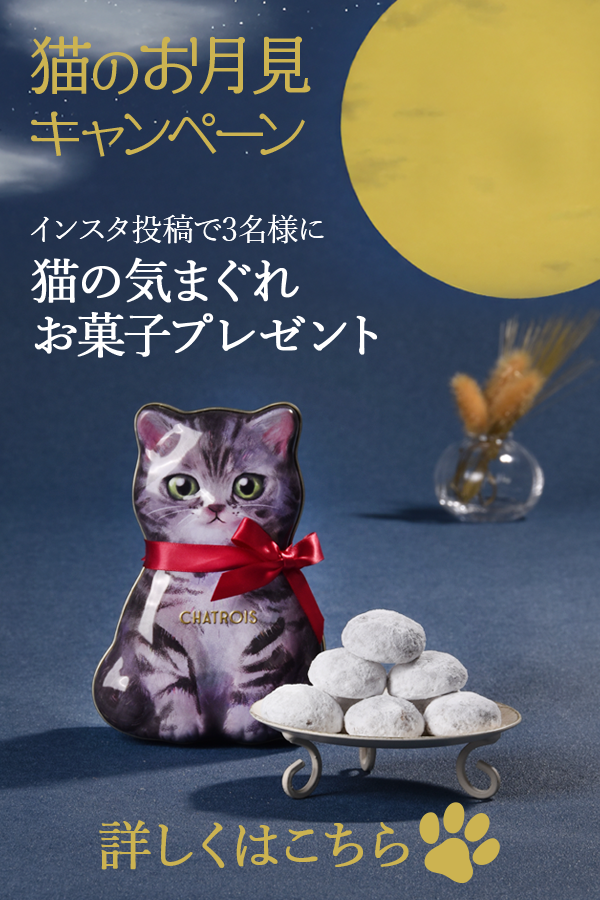 猫好きな方へ贈る、かわいい猫モチーフスイーツ。こねこの洋菓子 猫好きな方へ贈る、かわいい猫モチーフスイーツ。こねこの洋菓子