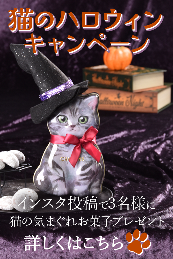 猫のハロウィンキャンペーン