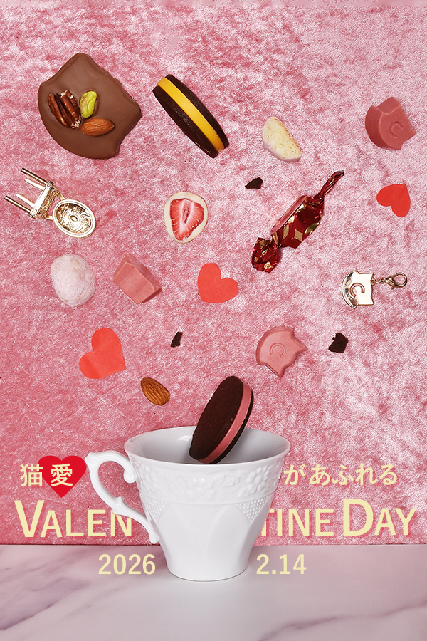 猫愛があふれるバレンタイン2026特集