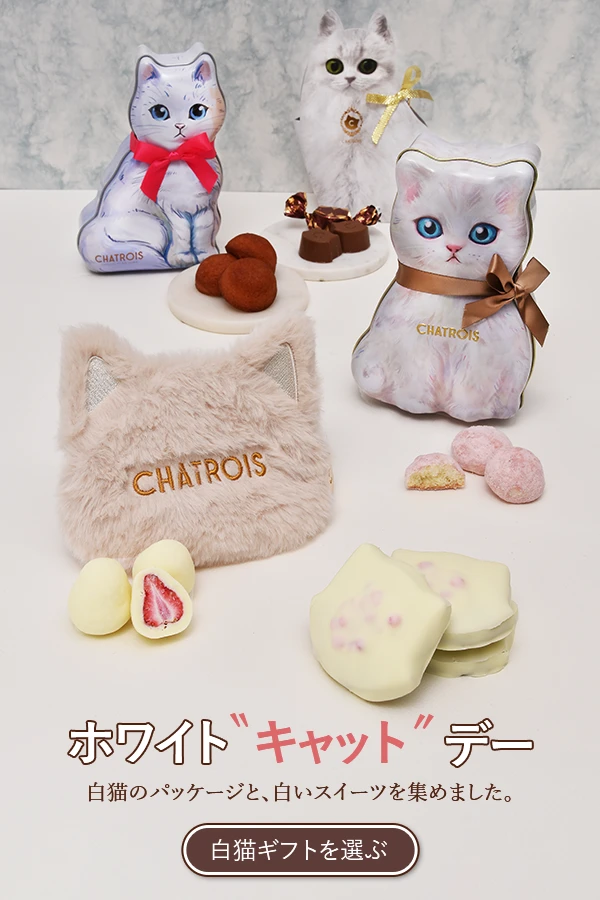 白猫ギフトのホワイトデー2026特集