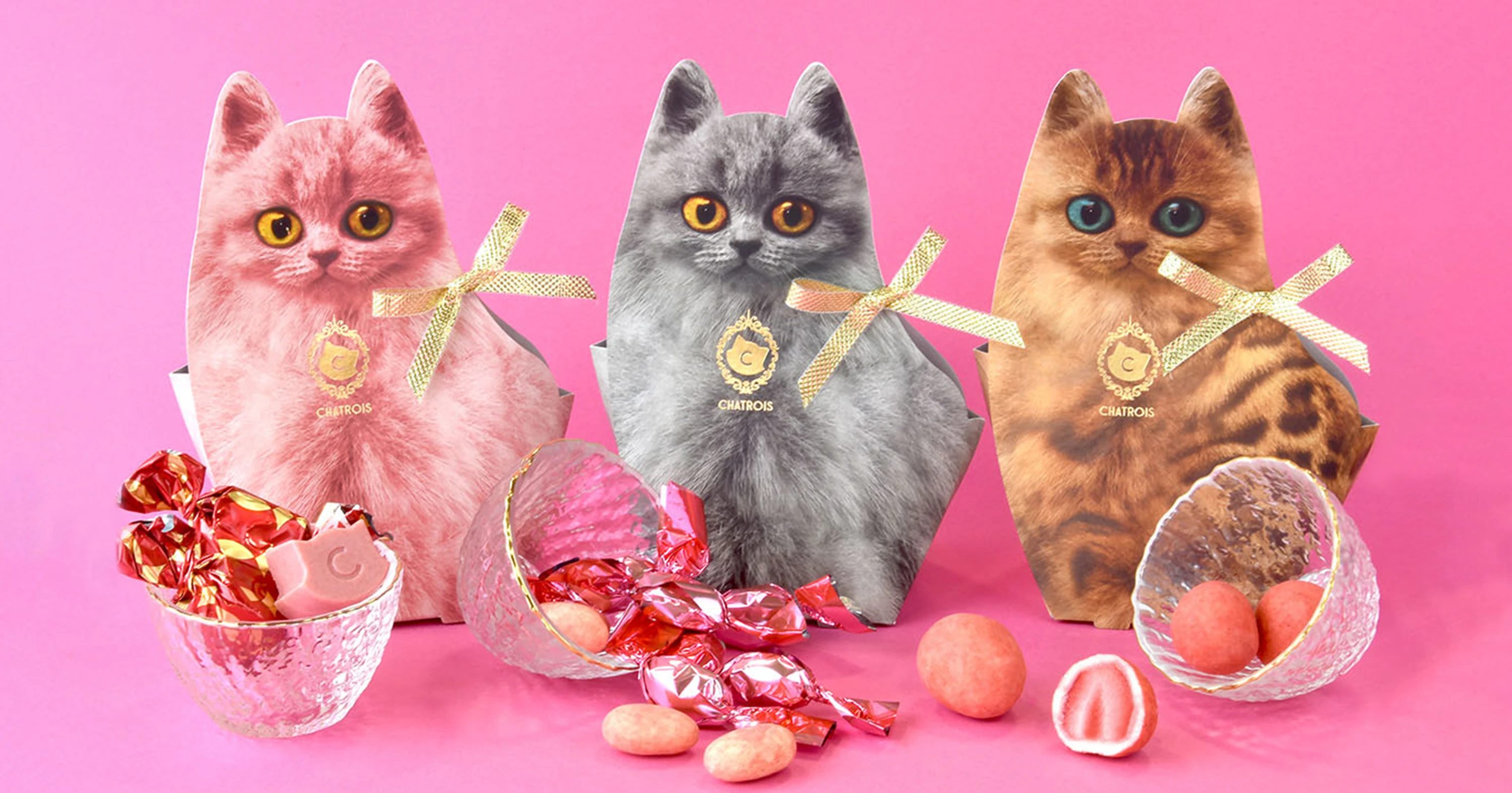 猫好きな方へ贈る、かわいい猫モチーフスイーツ。こねこの洋菓子