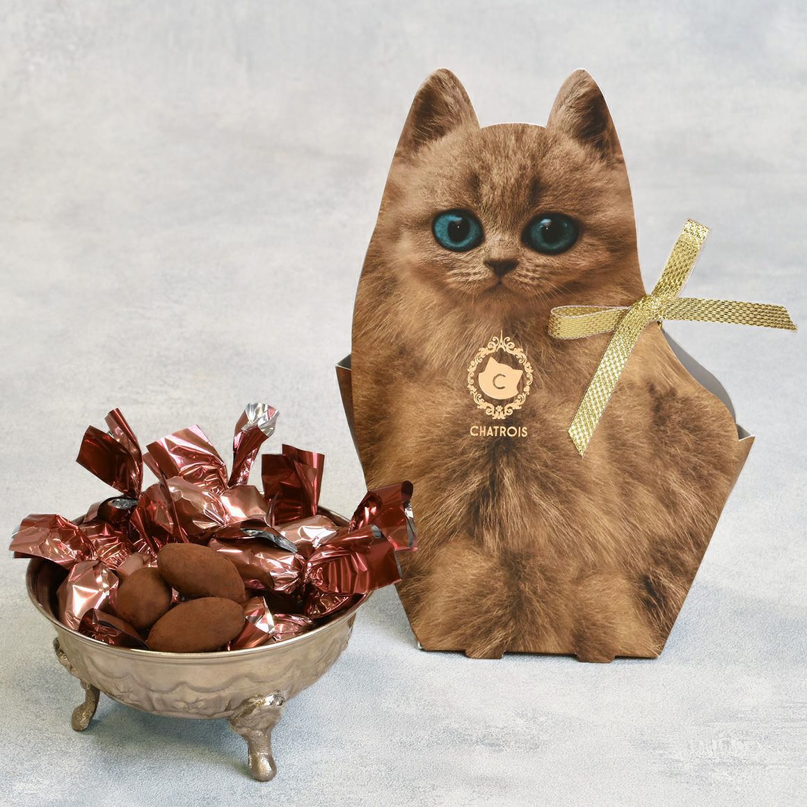 キトンティラミスアーモンドショコラ　プレーン