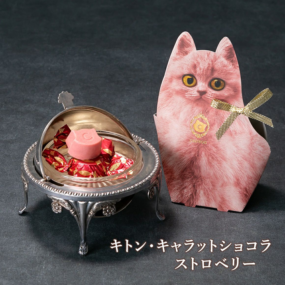 キトン・キャラットショコラ｜猫モチーフのかわいい高級チョコレート 