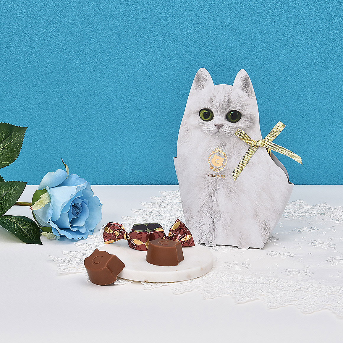 猫モチーフがかわいいチョコレート｜シャトロワ公式通販
