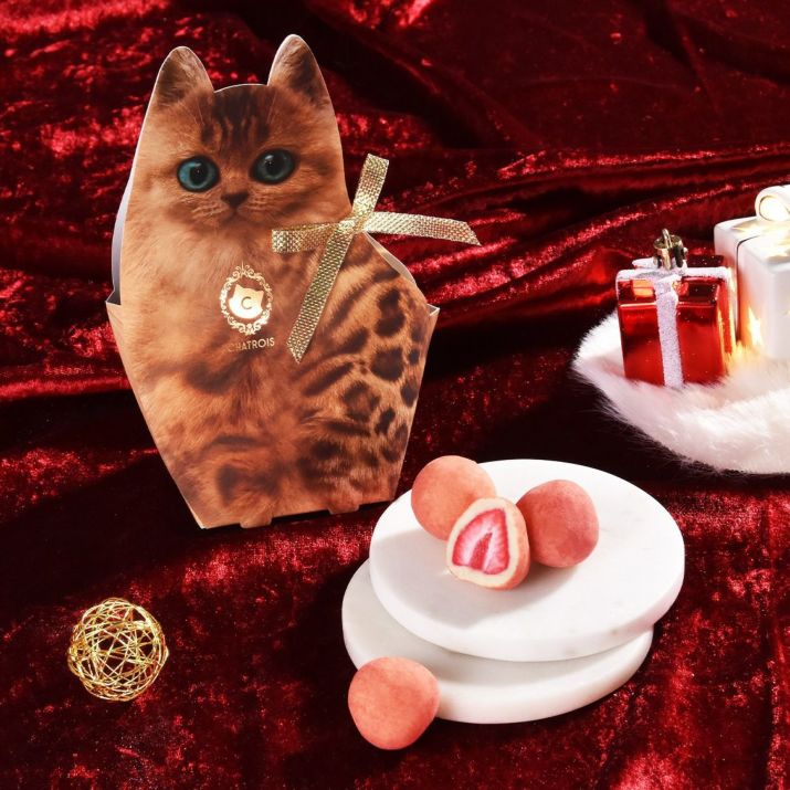 キトン・苺の牛乳ショコラ 4粒の写真