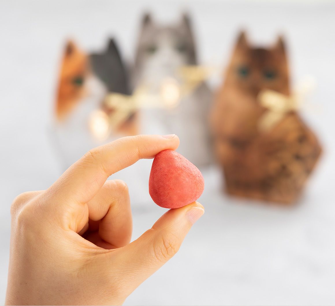 キトン・苺の牛乳ショコラ 4粒｜猫スイーツ・猫モチーフお菓子通販