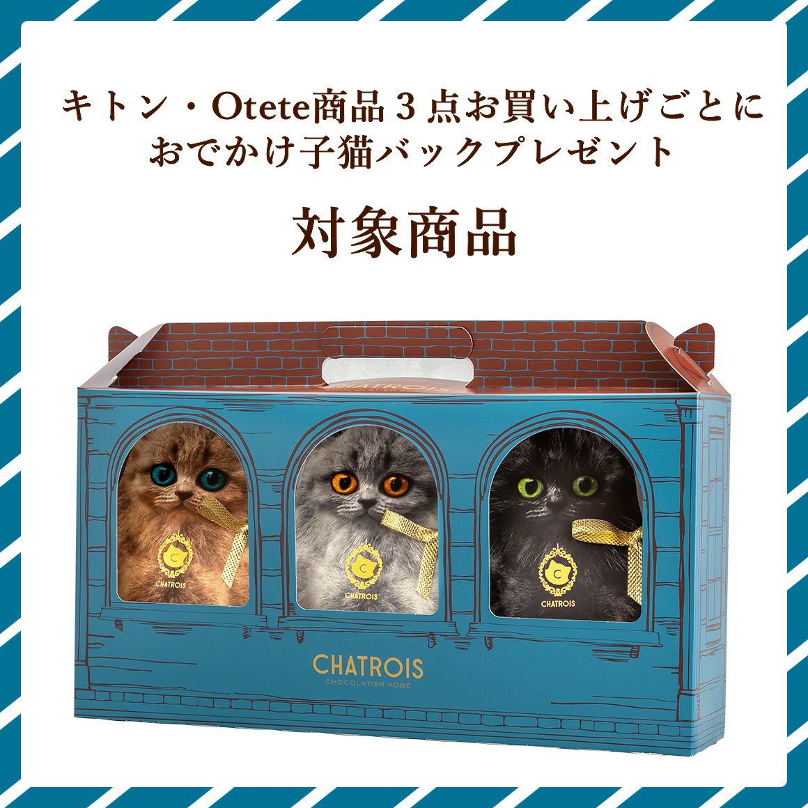 こねこのチョコレート | ねこのみち