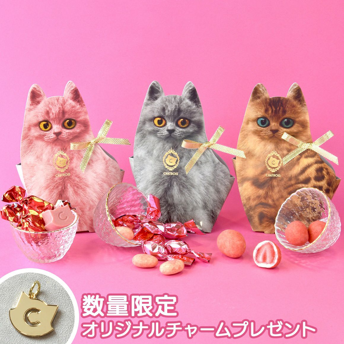 キトン苺のショコラセット