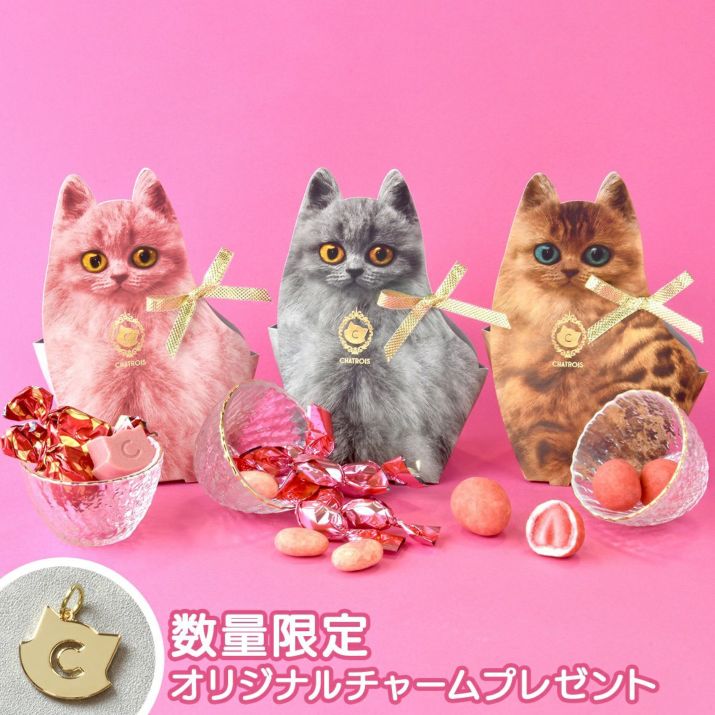 WEB限定　苺のキトンセット　数量限定 子猫のチャーム付きの写真
