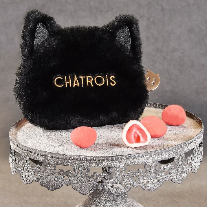 猫モチーフのくちどけチョコレート｜シャトロワ公式通販サイト