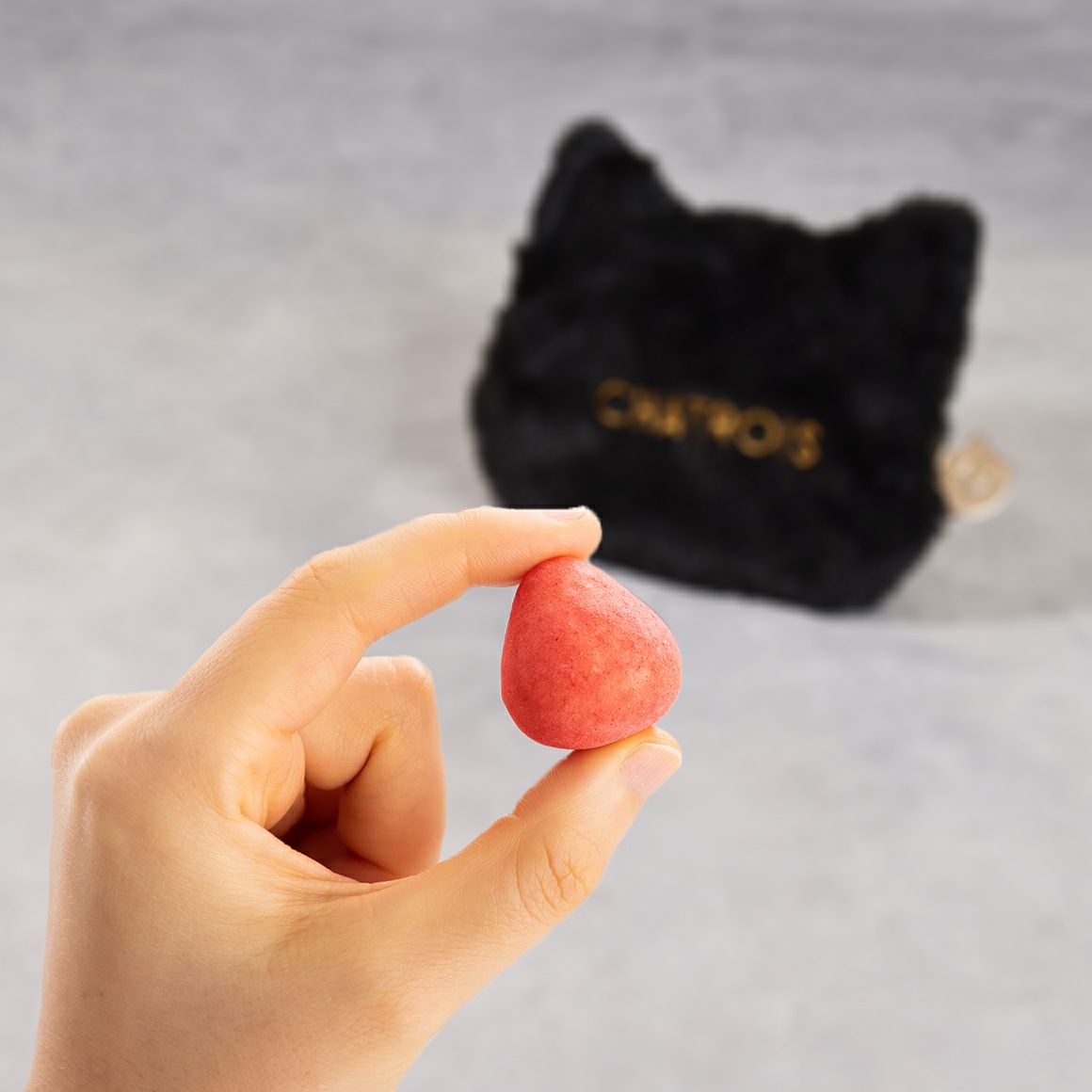 専用☆ ちょっと大きめポーチ＆招き猫ポーチ☆ジョリーフルール 専用☆ ちょっと大きめポーチ＆招き猫ポーチ☆ジョリーフルール