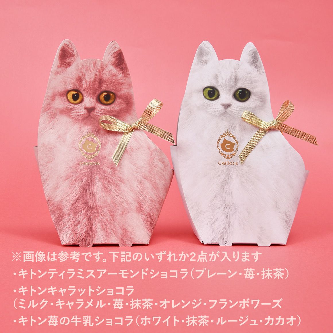 新年限定 お年賀に｜苺×白猫缶の紅白スイーツセット シャトロワ公式通販